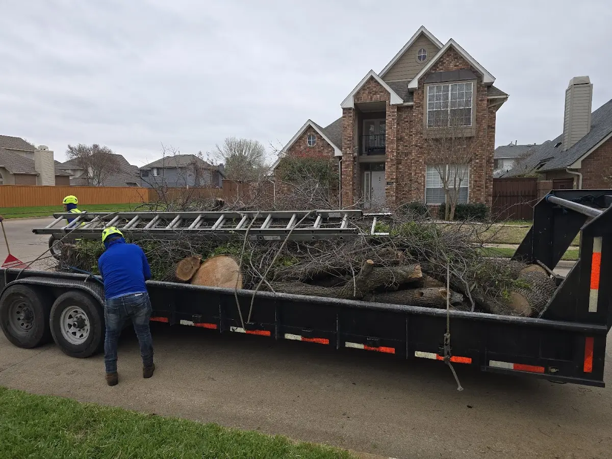 Expert Tree Fertilization with proper safety equipment in Manitou Beach